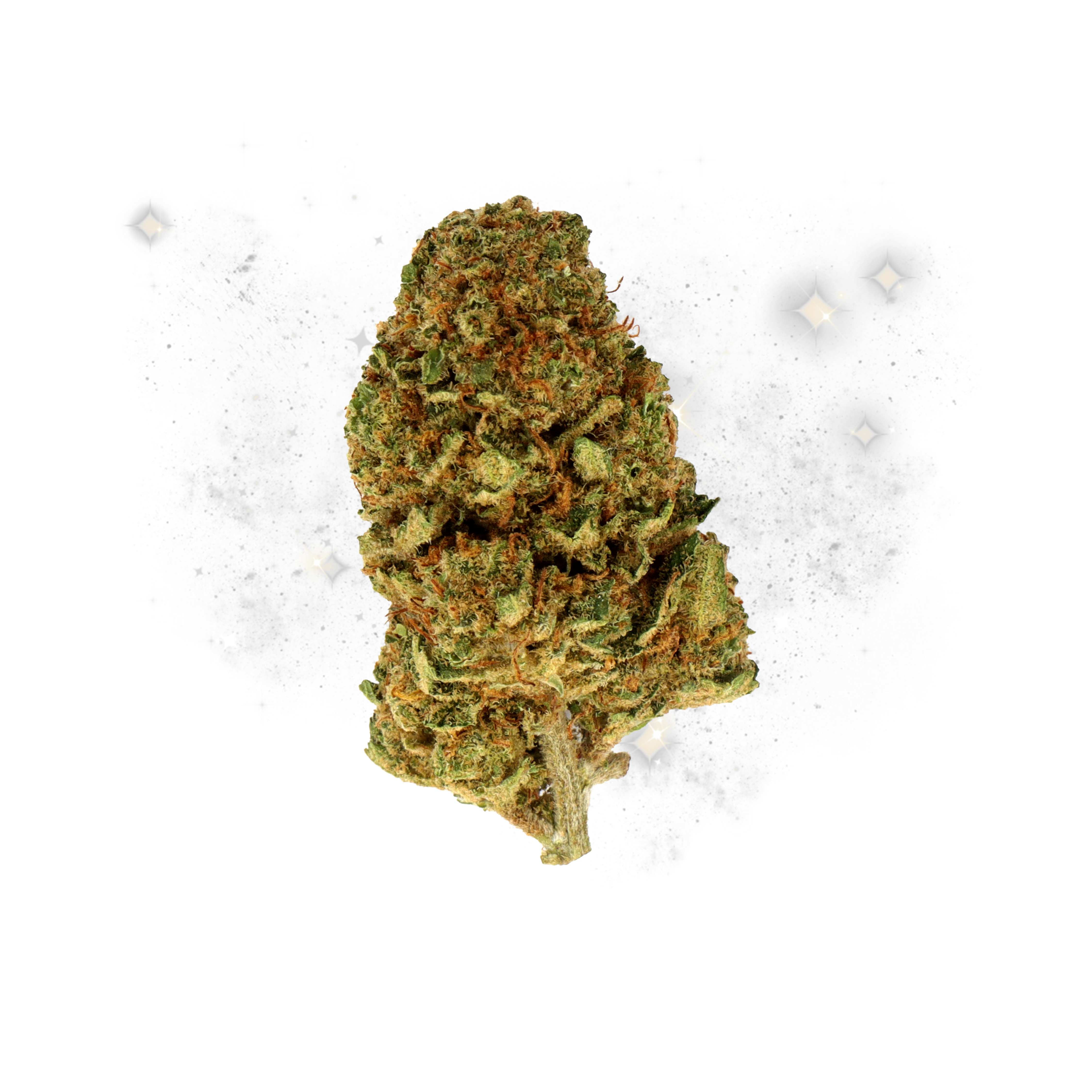 White Widow CBD Small Buds — 100g