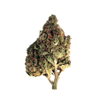 Blue Dream CBD - Magic CBD