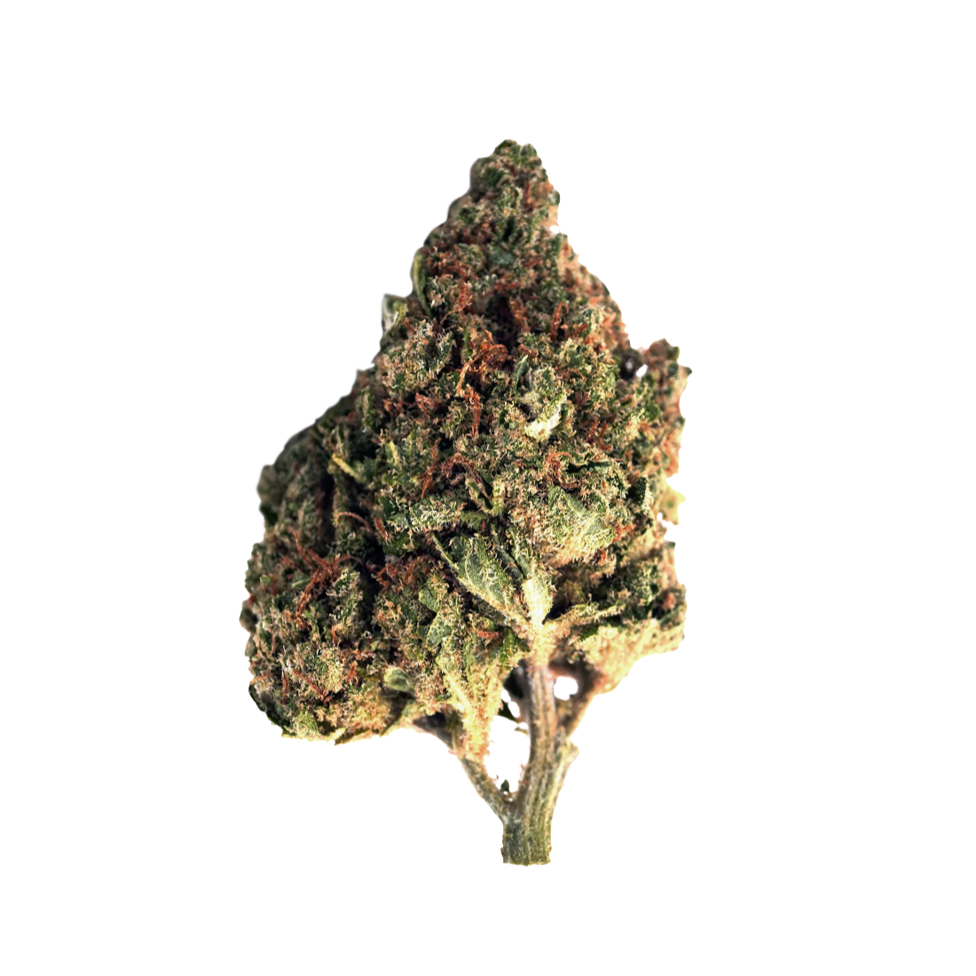 Blue Dream CBD | High Society — 100g