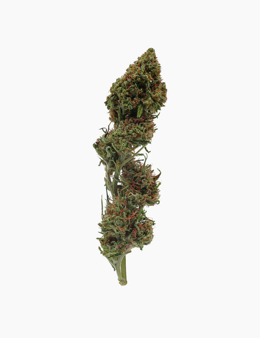 Cannatonic CBD