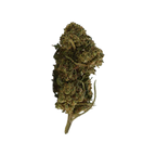 Cannatonic CBD - Magic CBD