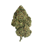 CRITICAL 2.0 - Magic CBD