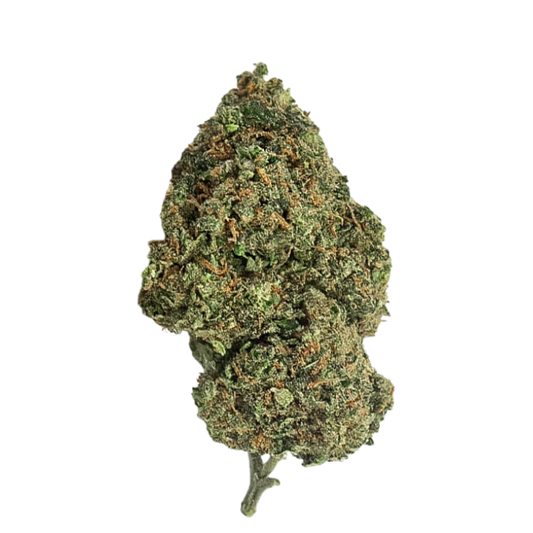 CRITICAL 2.0 - Magic CBD