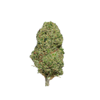 OG Kush CBD - Magic CBD