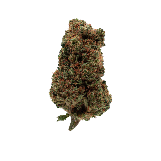 Orange Bud CBD
