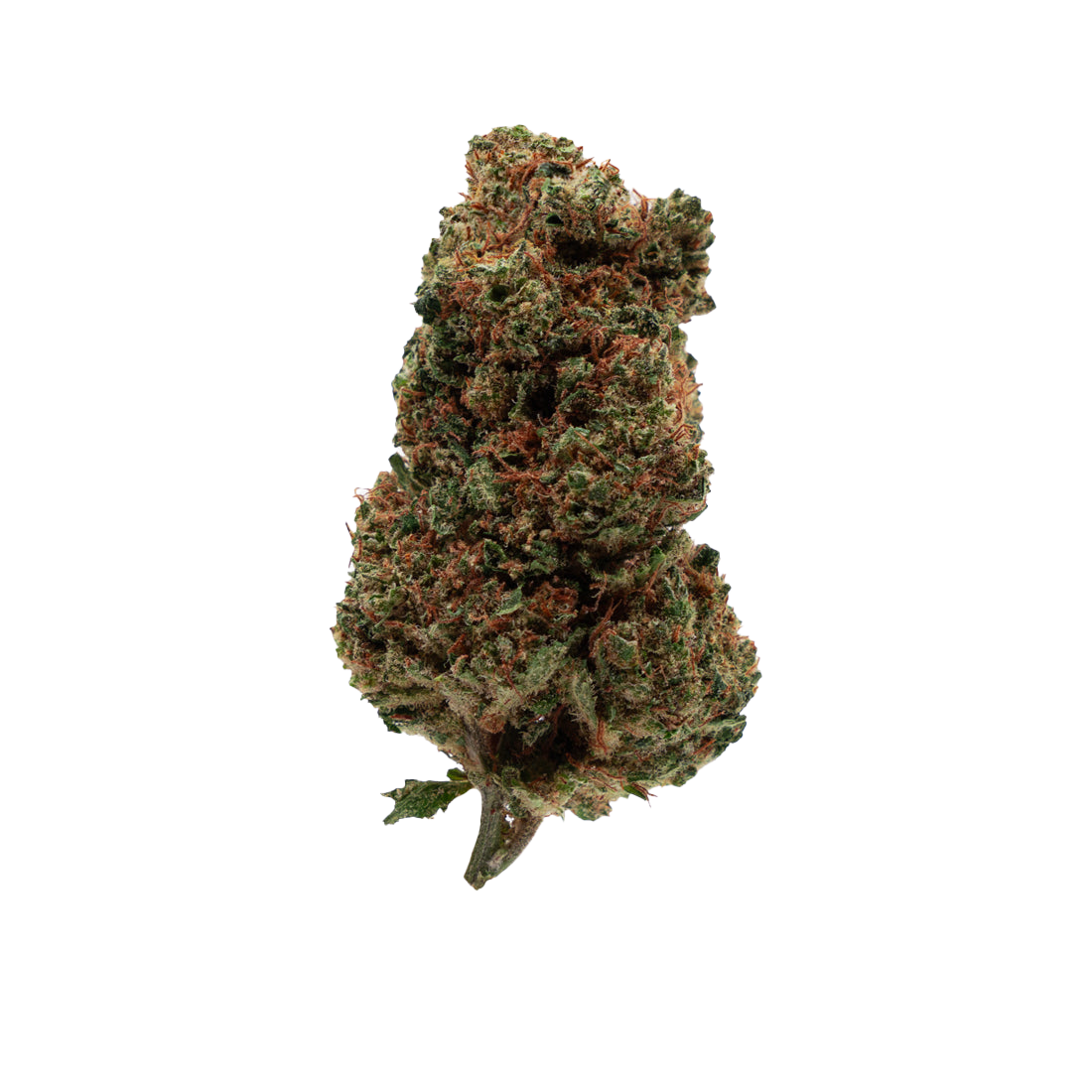 Orange Bud CBD — 100g