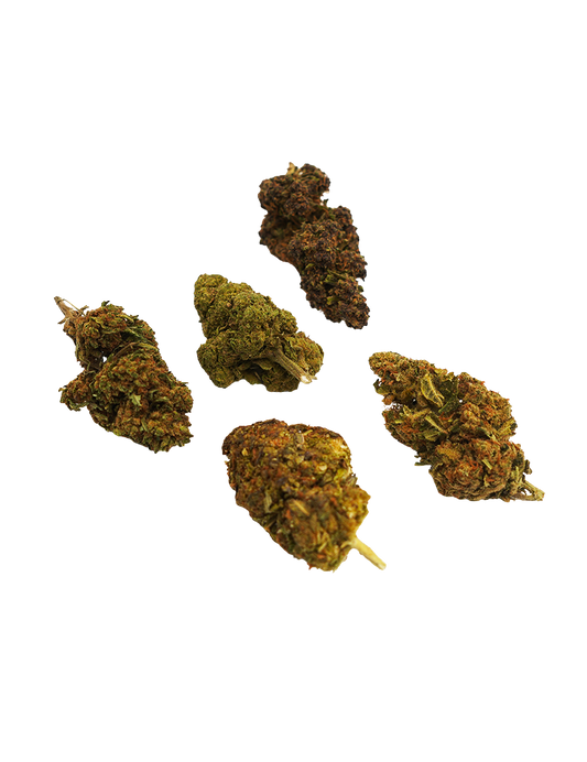 Pack Découverte Fleurs CBD