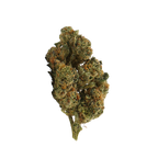 Plutonium CBD - Magic CBD