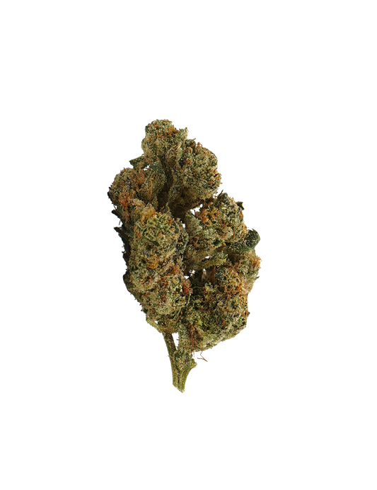 Plutonium CBD