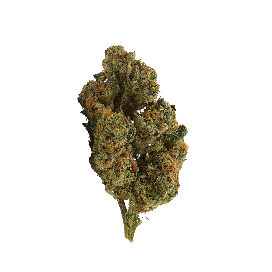 Plutonium CBD | High Society — 100g