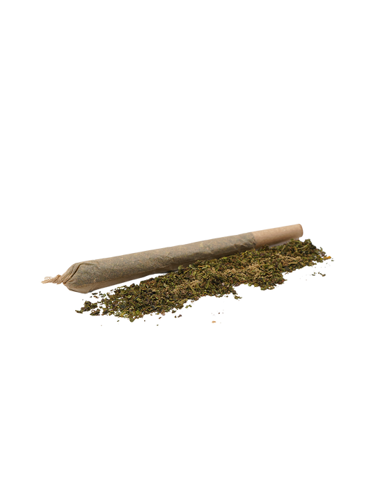 Pre-roll Amnesia CBD