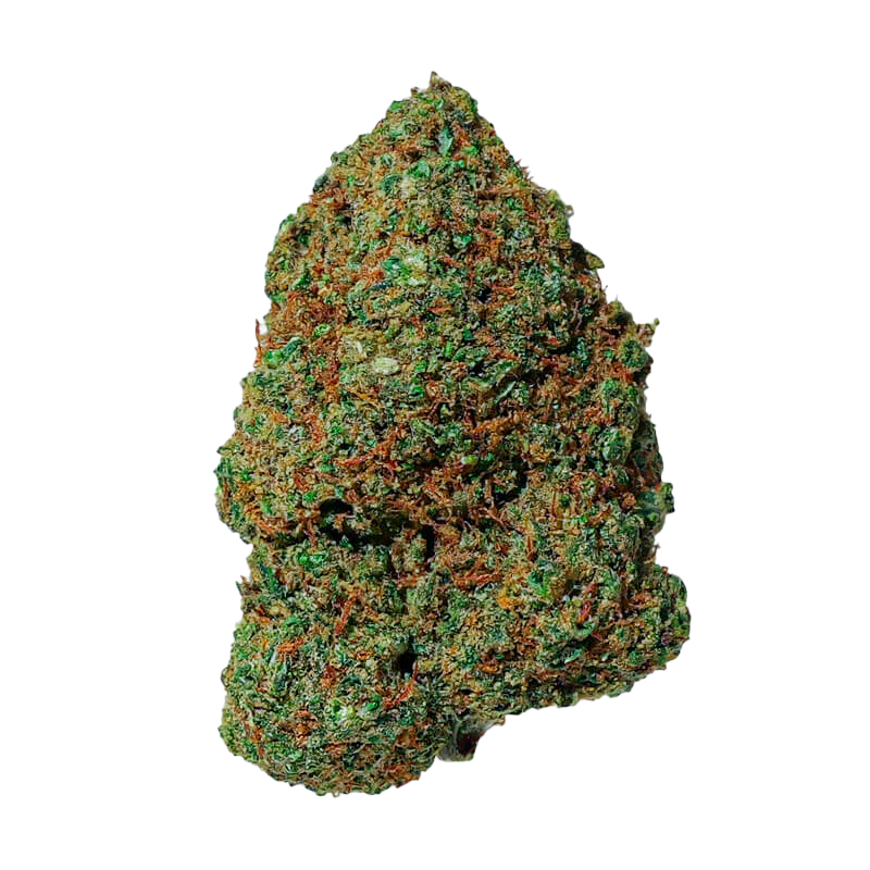 Amnesia 2.0 CBD | Magic CBD — 100g
